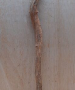 Straight Liana 2-3cm - Short - 18