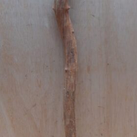 Straight Liana 2-3cm - Short - 18