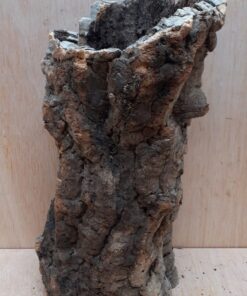 Medium Cork Tube - Upto 40cm - 22