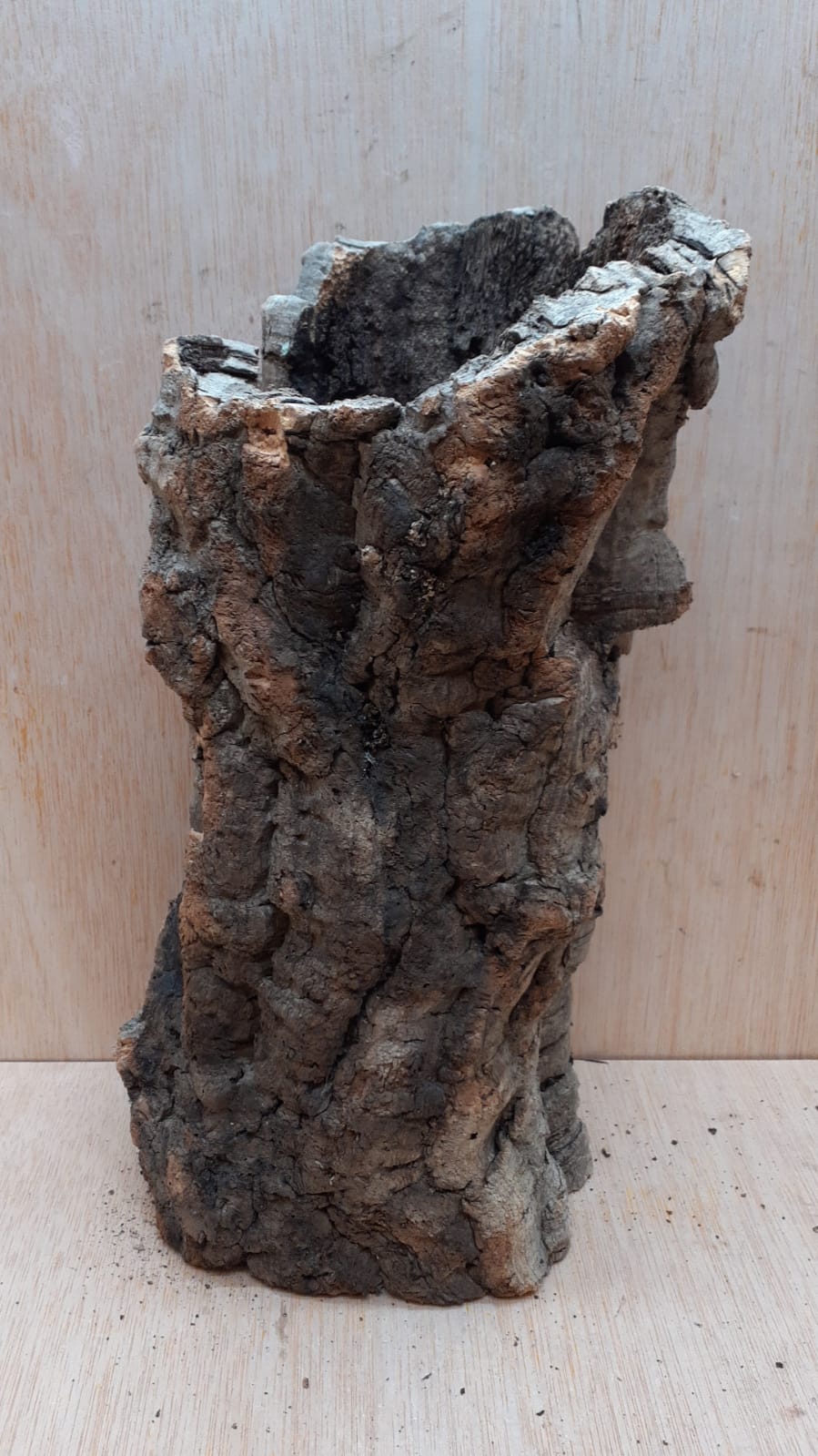 Medium Cork Tube - Upto 40cm - 22