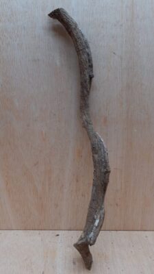 Curved Liana - Short - 20