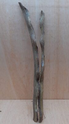 Monkey Ladder Liana - Short - 14