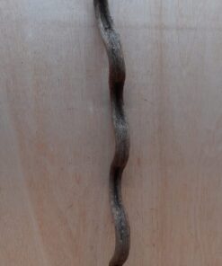 Monkey Ladder Liana - Short - 19