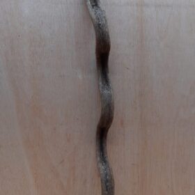 Monkey Ladder Liana - Short - 19