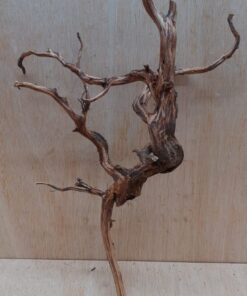 Moorwood - Medium 12