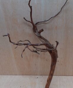 Moorwood - Medium 14