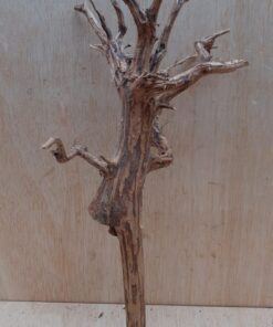 Moorwood - Medium 16