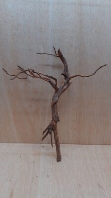 Moorwood - Medium 17