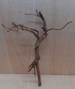 Moorwood - Medium 17