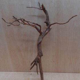 Moorwood - Medium 17