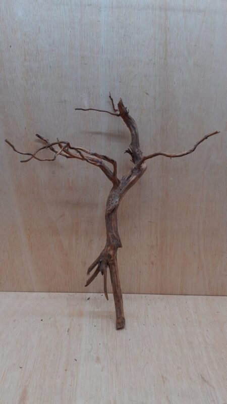 Moorwood - Medium 17