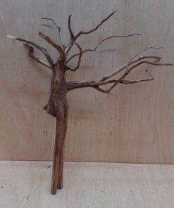 Moorwood - Medium 18