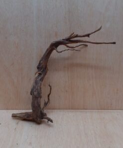 Moorwood - Medium 19