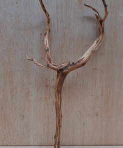 Moorwood - Medium 20