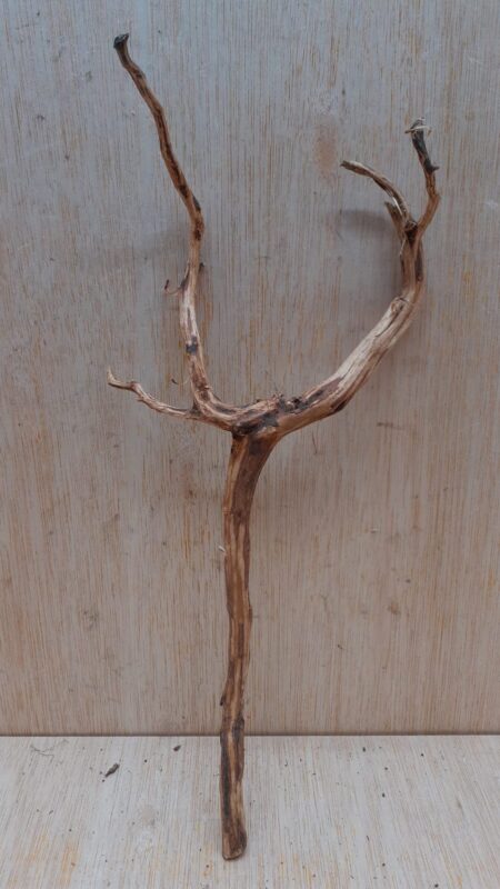 Moorwood - Medium 20