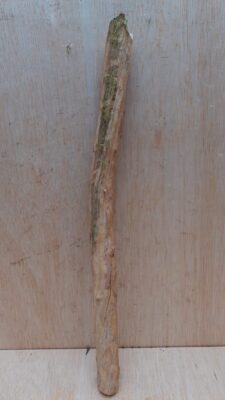 Straight Liana 2-3cm - Short - 17