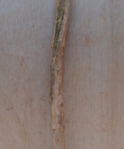 Straight Liana 2-3cm - Short - 17