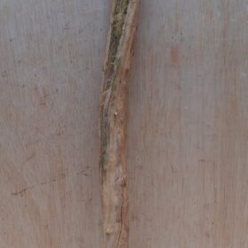 Straight Liana 2-3cm - Short - 17