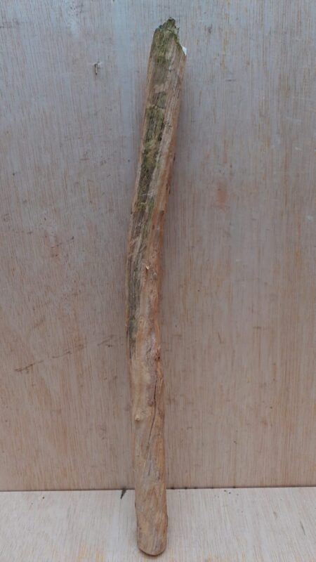 Straight Liana 2-3cm - Short - 17
