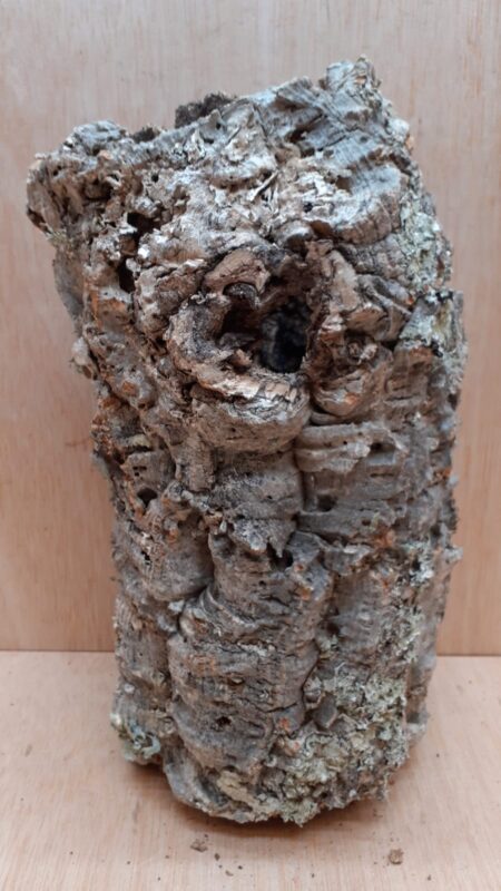 Medium Cork Tube - Upto 40cm - 21