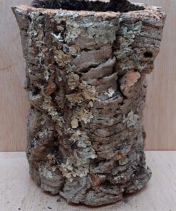 Medium Cork Tube - Upto 40cm - 25