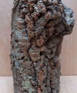 Medium Cork Tube - Upto 40cm - 26