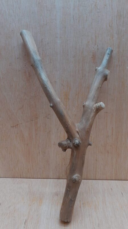 Java Wood - Double Stem - Small 15