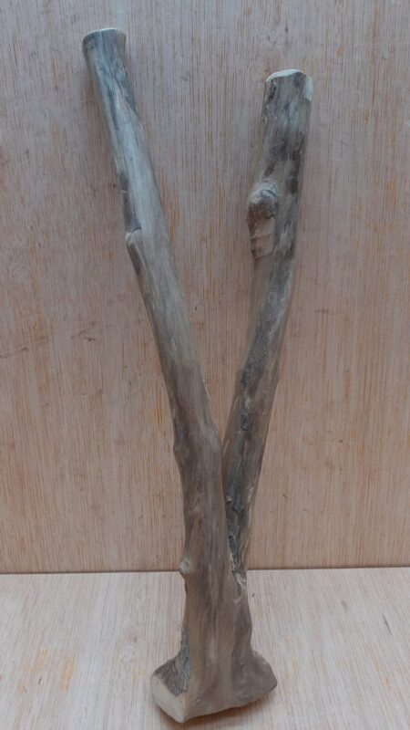 Java Wood - Double Stem - Small 19