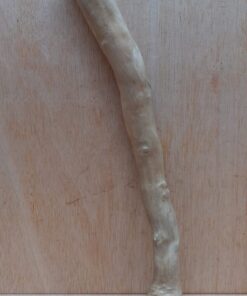 Java Wood - Single Stem - Medium 17