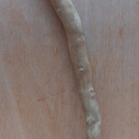 Java Wood - Single Stem - Medium 17