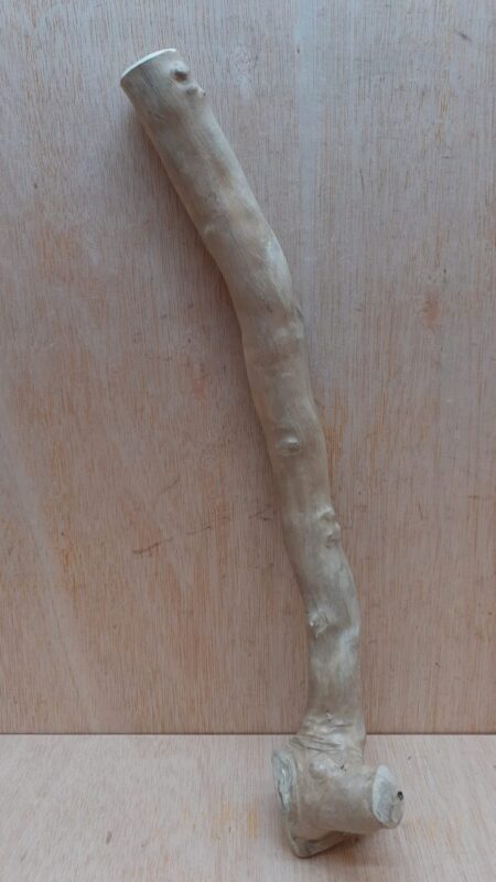 Java Wood - Single Stem - Medium 17