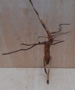 Moorwood - Medium 13