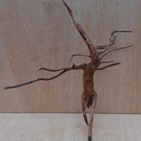 Moorwood - Medium 13