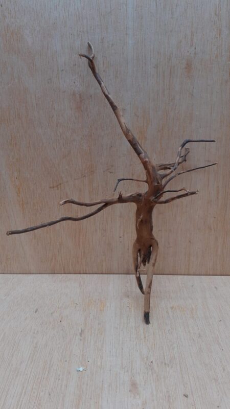 Moorwood - Medium 13