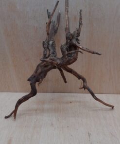 Moorwood - Medium 15