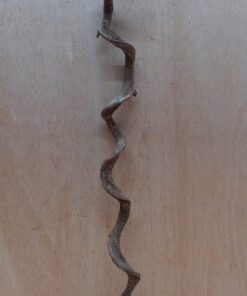 Curved Liana - Short - 14