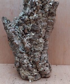 Medium Cork Tube - Upto 40cm - 23