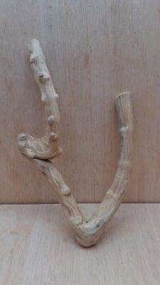 Java Wood - Double Stem - Small 17