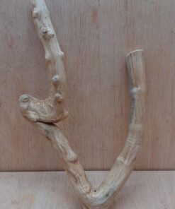 Java Wood - Double Stem - Small 17