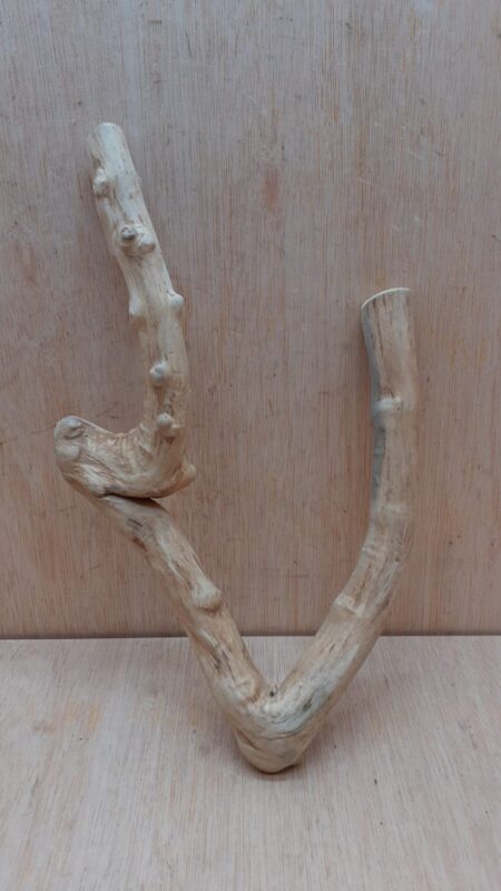 Java Wood - Double Stem - Small 17