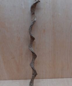 Curved Liana - Short - 11