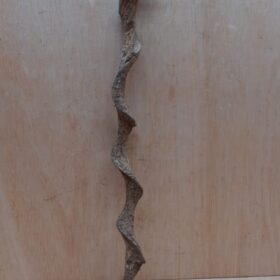 Curved Liana - Short - 11