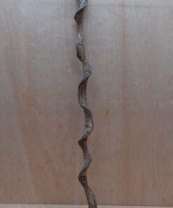 Curved Liana - Short - 13