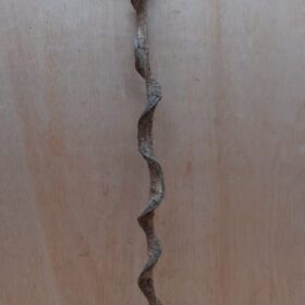 Curved Liana - Short - 13