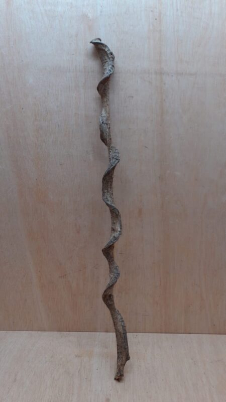 Curved Liana - Short - 13