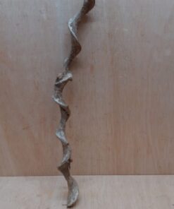 Curved Liana - Short - 15