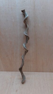 Curved Liana - Short - 16