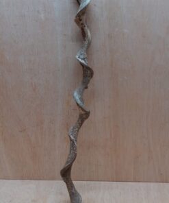 Curved Liana - Short - 16