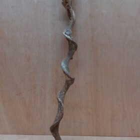 Curved Liana - Short - 16