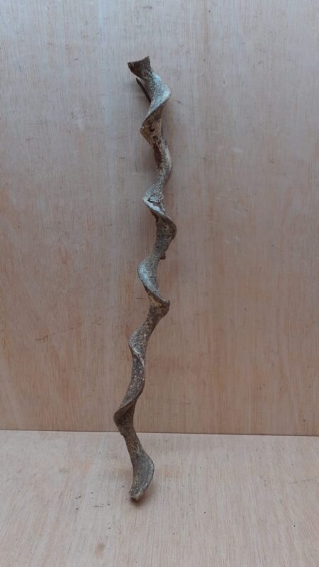 Curved Liana - Short - 16